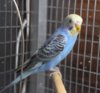 DSC_3611.JPG