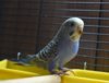DSC_3622.JPG