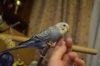 DSC_4287.JPG
