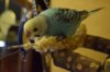 DSC_4202.JPG