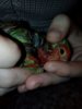 IMG-20171101-WA0000.jpg