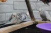 IMG_5787.JPG