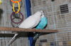 IMG_5906.JPG