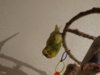DSC02066.JPG
