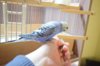 DSC_4656.JPG