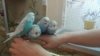20171103_205028.jpg