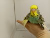 20171105_114236.jpg