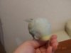DSC02080.JPG