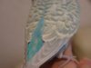DSC02078.JPG
