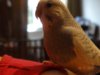 DSC02077.JPG