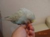 DSC02079.JPG