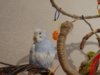 DSC02087.JPG