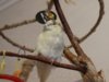 DSC02086.JPG
