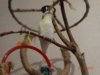 DSC02088.JPG