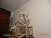 DSC02092.JPG
