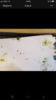 85DAFE00-5FD7-440A-800D-19089EA81D77.png