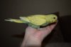 DSC_4710.JPG