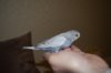 DSC_4711.JPG