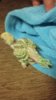 IMG-20171108-WA0010.jpg