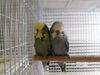 20171109_230423.jpg