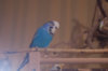 _DSC8951@0,25x.jpg