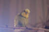 _DSC8857@0,25x.jpg