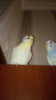 IMG-20171106-WA0031.jpeg