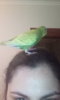 IMG-20171104-WA0011.jpeg