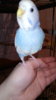 IMG-20171103-WA0017.jpeg
