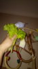 IMG-20171028-WA0037.jpeg