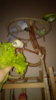IMG-20171028-WA0034.jpeg