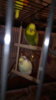 IMG-20171022-WA0000.jpeg