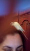 IMG-20171004-WA0017.jpeg
