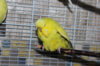 IMG_6274.JPG