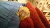 IMG-20171110-WA0001.jpg