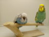 20171110_172747.jpg