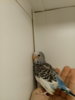 20171110_173442.jpg