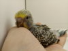 20171110_173847.jpg
