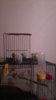 IMG-20171111-WA0037 (2).jpeg