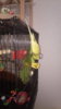IMG-20171111-WA0079.jpeg