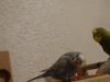 DSC02107.JPG