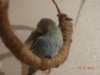 DSC02106.JPG