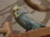 DSC02108.JPG