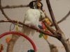DSC02111.JPG