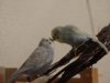 DSC02115.JPG