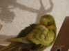 DSC02113.JPG