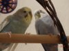 DSC02117.JPG