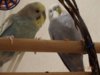 DSC02116.JPG