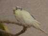 DSC02119.JPG