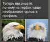 S71020-08354070.jpg